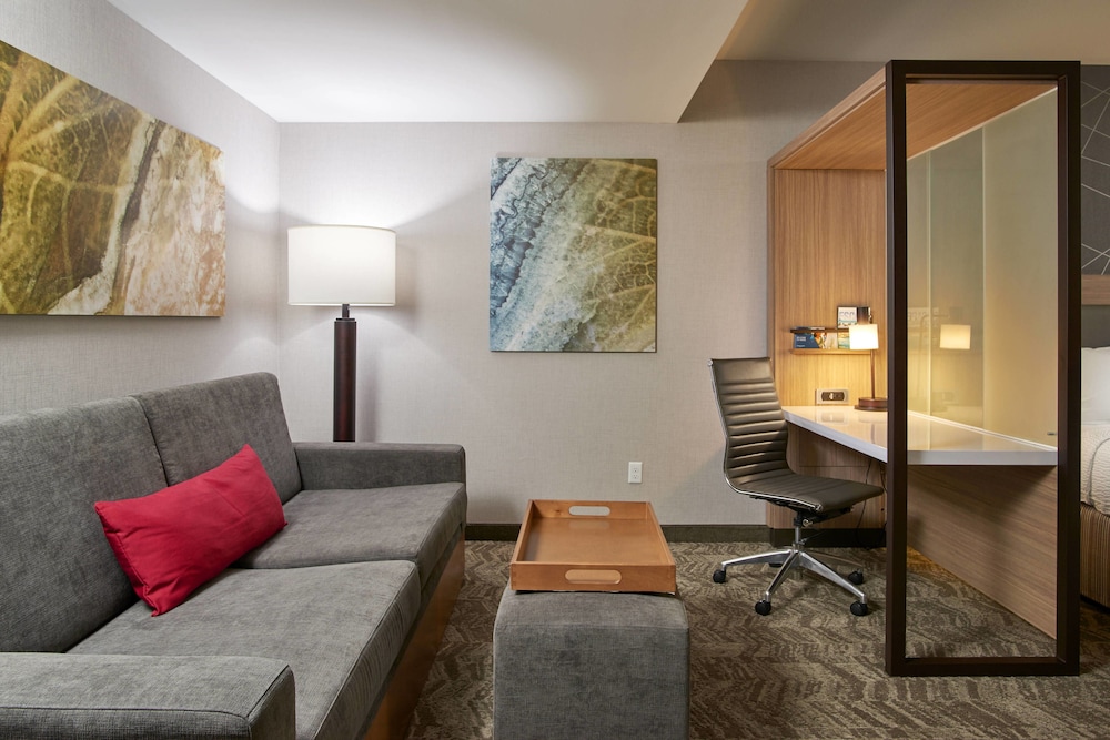 Suite, Multiple Beds (Mobility/Hearing Access, Roll-In Shwr) photo 2
