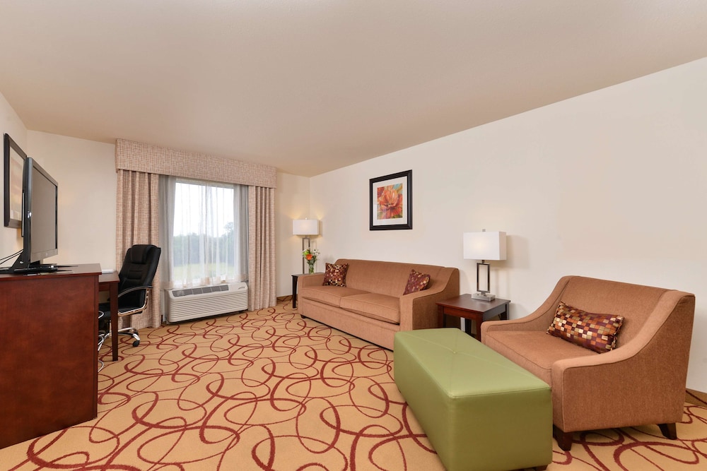 Suite, 1 King Bed, Non Smoking - Photo 2