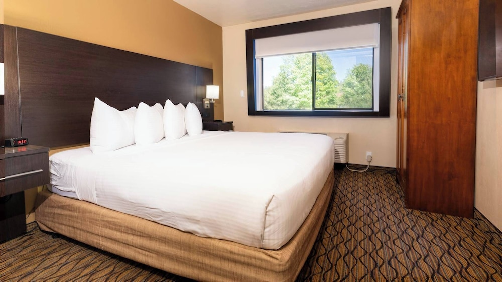 Suite, 1 Bedroom - Photo 1