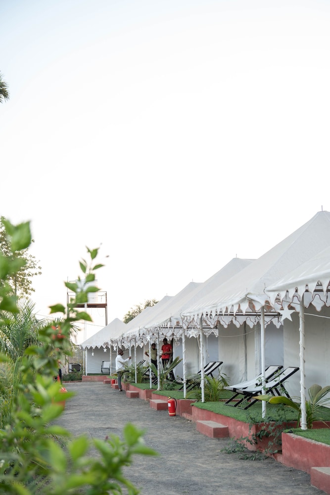 Royal Tent, 1 King Bed, Garden View, Garden Area photo 3