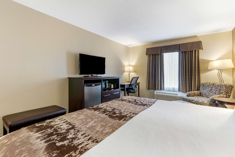 Deluxe Suite, 1 Queen Bed, Non Smoking, Refrigerator & Microwave (with Sofabed) - Photo 1