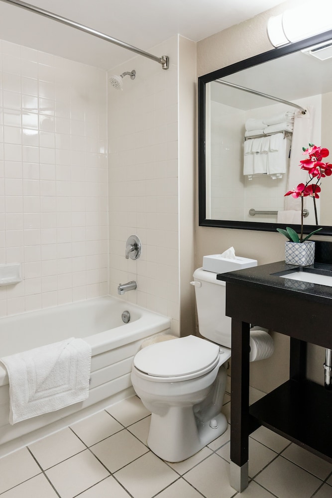 Double Room, 2 Double Beds - Photo 7