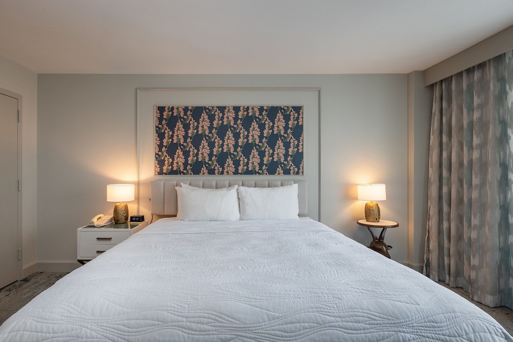 Executive Studio, 1 King Bed with Sofa bed