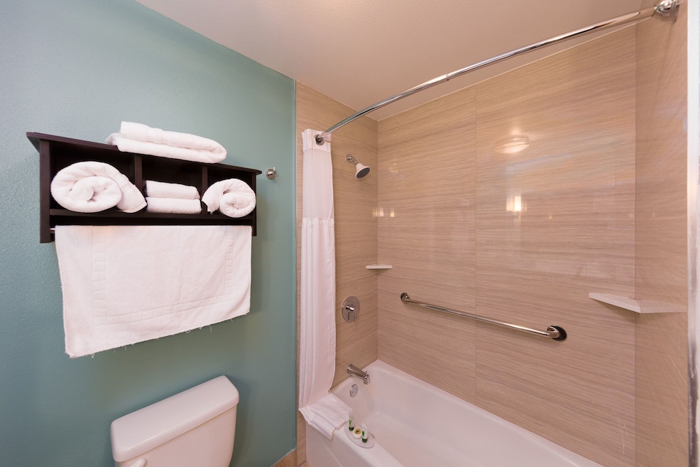 Deluxe Suite, 1 King Bed, Refrigerator & Microwave (Non Pet Friendly) - Photo 14