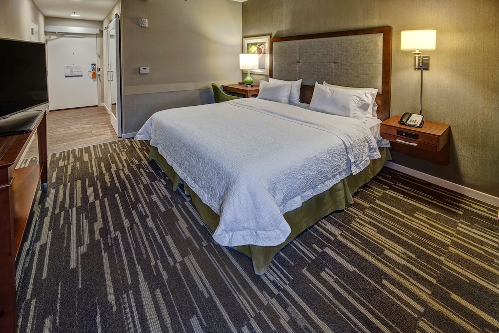 Standard Room, 1 King Bed, Accessible, Non Smoking (Roll In Shower, Hearing Accessible) - Photo 1