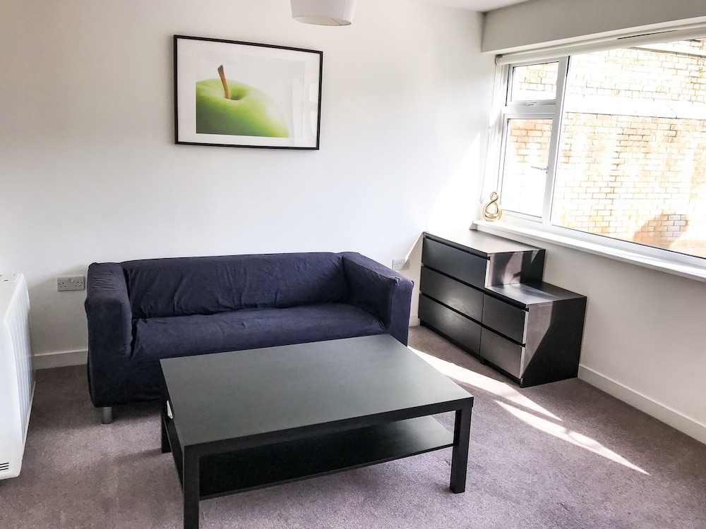 Entire 2 Bedroom Flat Next to Kings College, 사진 16