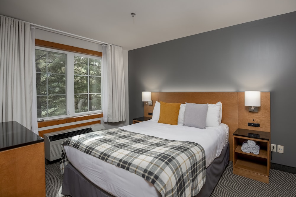 Suite, 1 Queen Bed - Photo 1