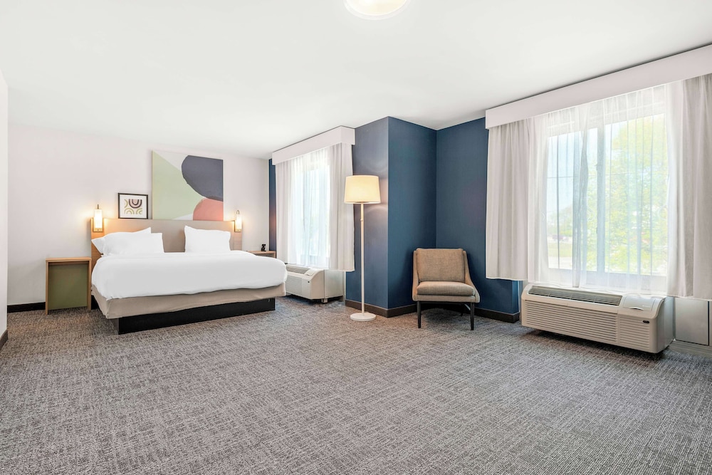 Room, 1 King Bed, Accessible (Mobility & Hearing, Roll-in Shower)