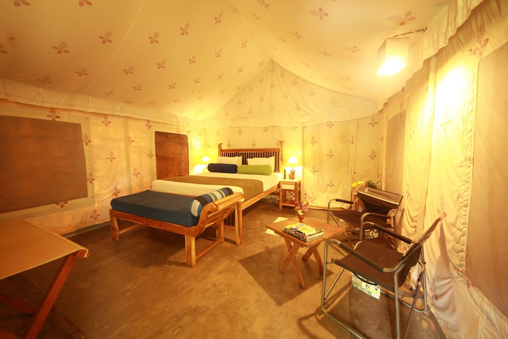 Luxury Glamping Tents photo 1