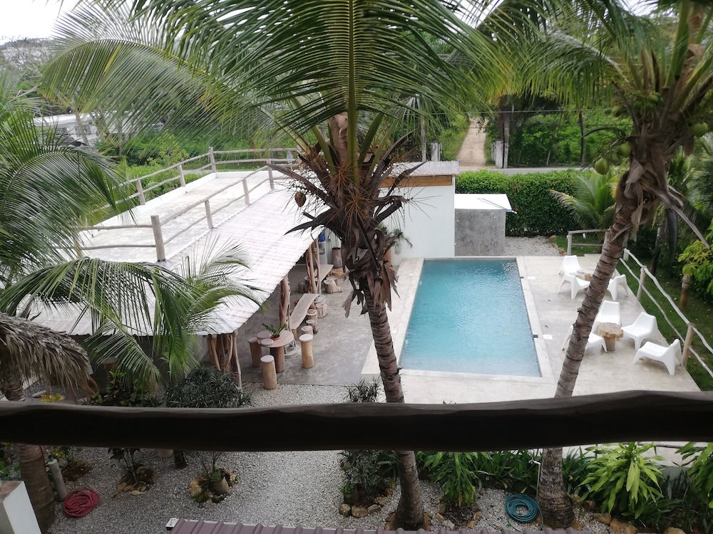 Deluxe Jardin photo 3