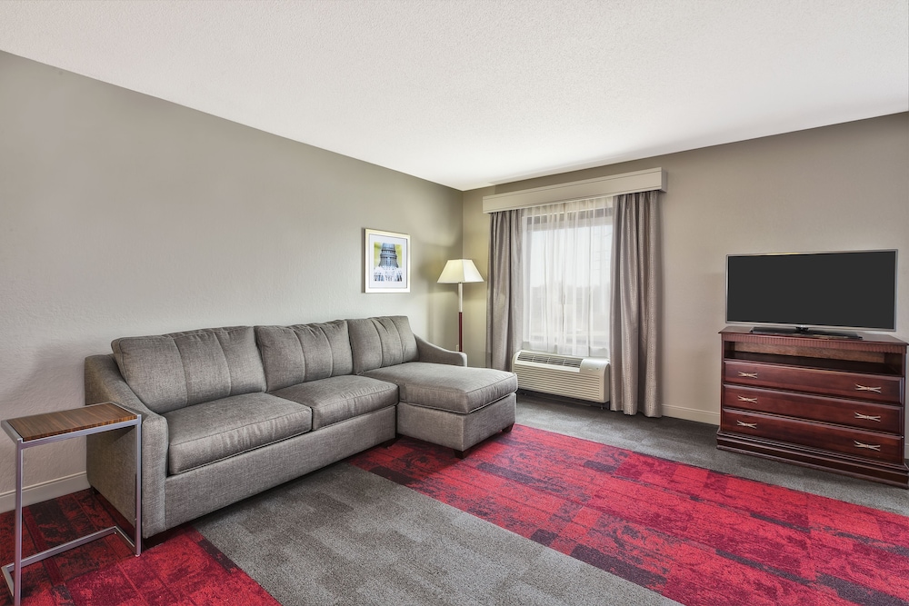Studio Suite, 1 King Bed - Photo 4