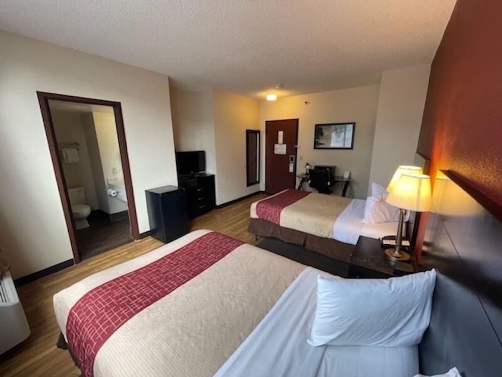 Standard Room, 2 Double Beds photo 1