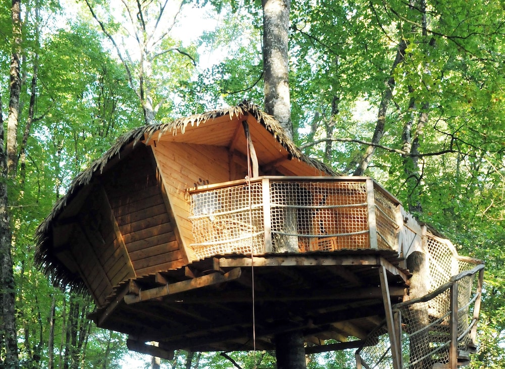 Tree House photo 3