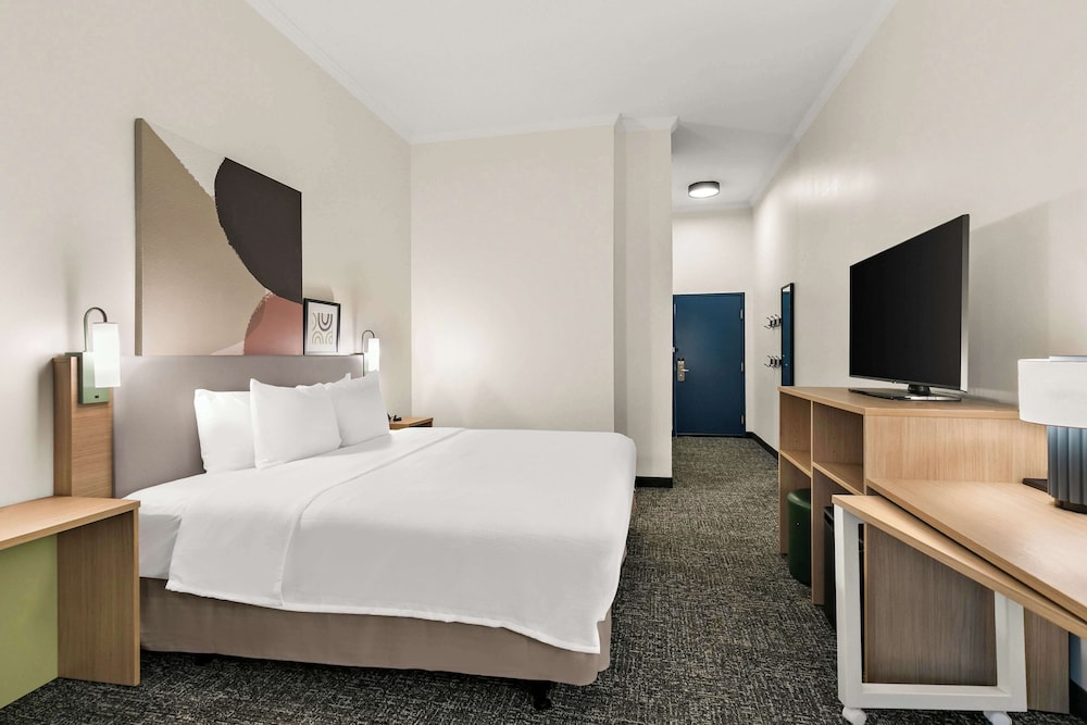 Room, 1 King Bed, Accessible (Mobility & Hearing, Roll-in Shower) - Photo 11
