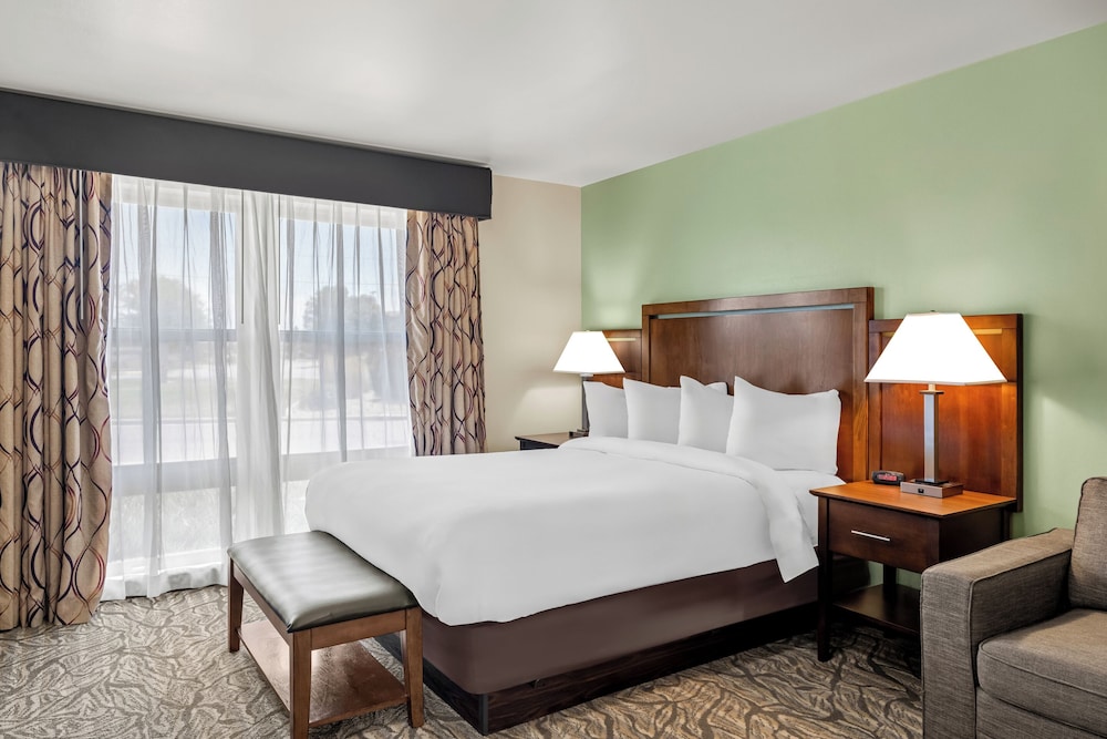 Classic Suite, 1 Queen Bed with Sofa bed, Roll-in Shower