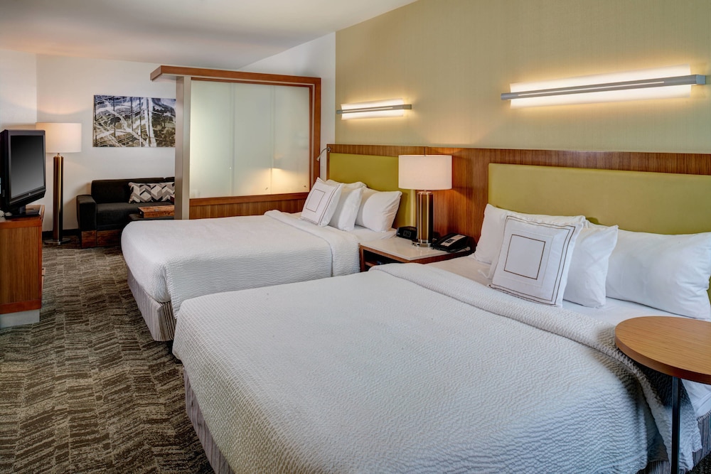 Studio, Multiple Beds - Photo 1