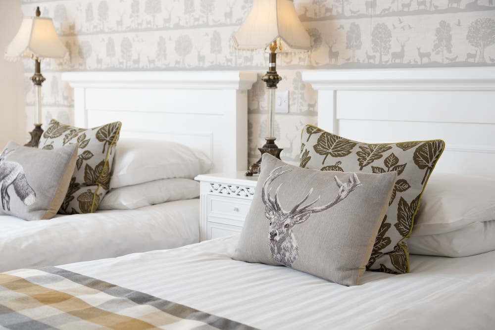 Twin Room photo 1