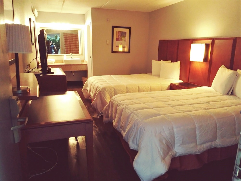 Standard Room, 2 Double Beds, Non Smoking, Microwave photo 1