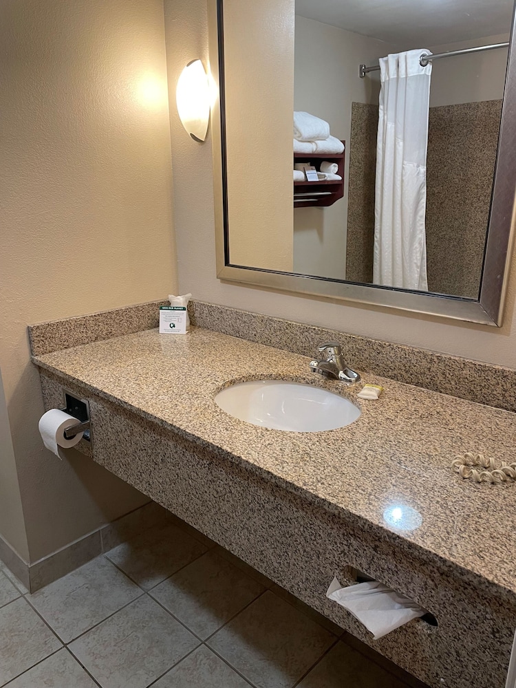 Standard Room, 1 King Bed, Roll-in Shower (Roll-In Shower) - Photo 6