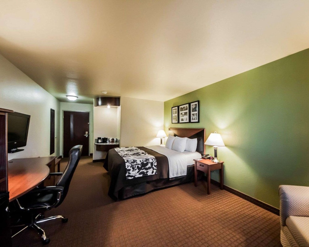 Standard Room, 1 King Bed, Non Smoking - Photo 6