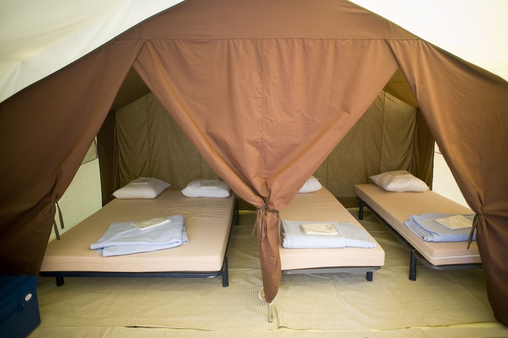 Basic Tent (IV)
