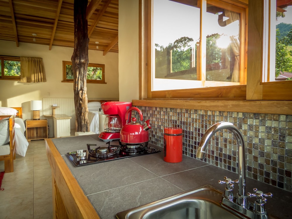 Deluxe Studio Suite, 2 Bedrooms, Mountain View photo 3