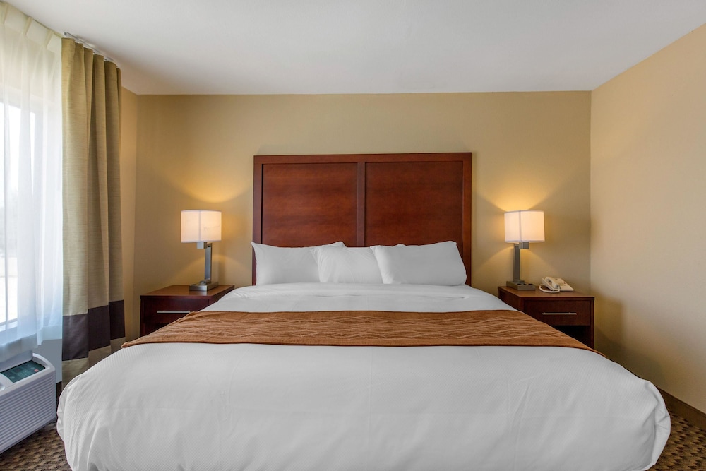 Suite, 1 King Bed, Non Smoking - Photo 4