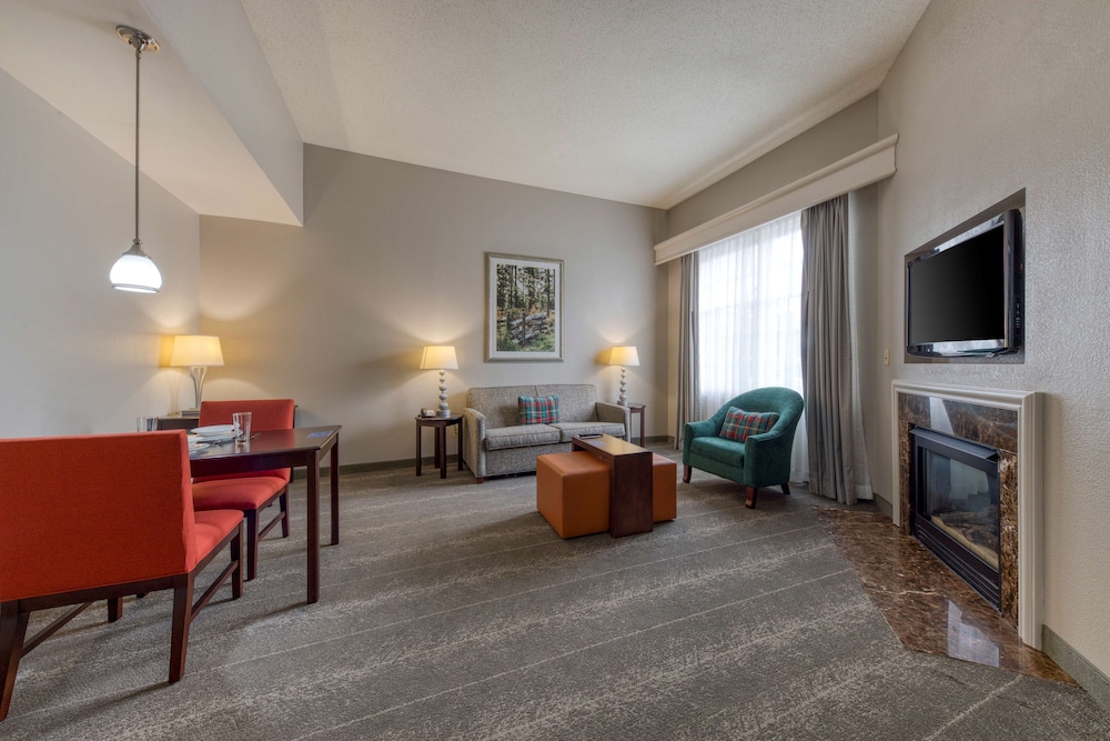 Suite, 1 King Bed, Non Smoking, Fireplace (Accessible Tub) - Photo 3