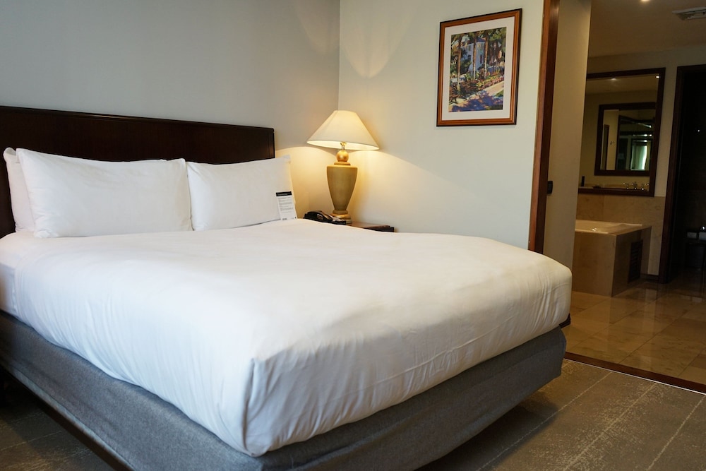 Executive Suite, 1 King Bed with Sofa bed