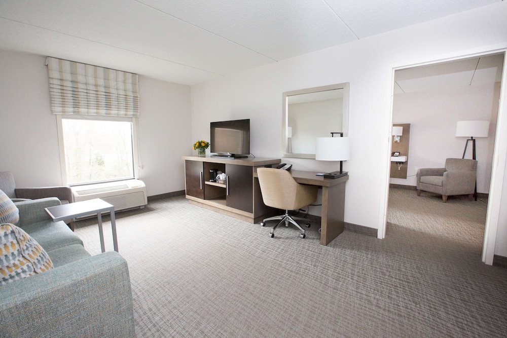 Suite, 1 King Bed, Accessible, Non Smoking - Photo 4