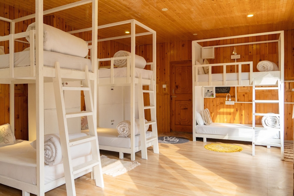 8 Bed Mixed Dorm photo 1