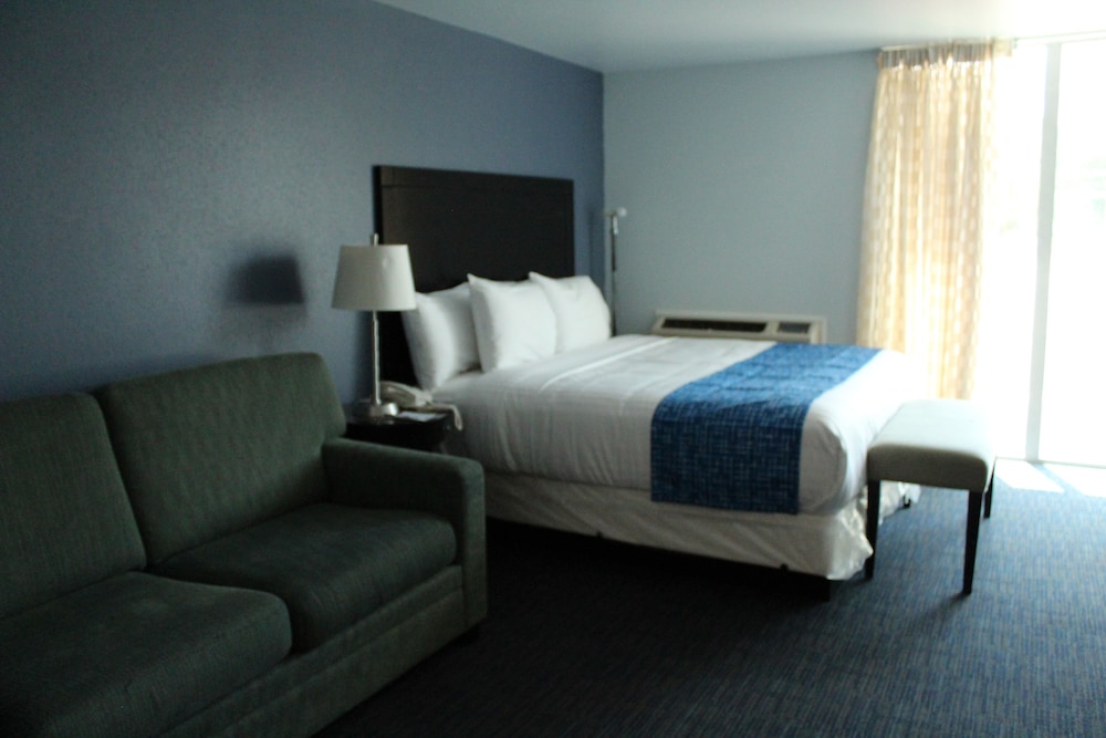 Deluxe Suite, 1 King Bed, Non Smoking - Photo 1