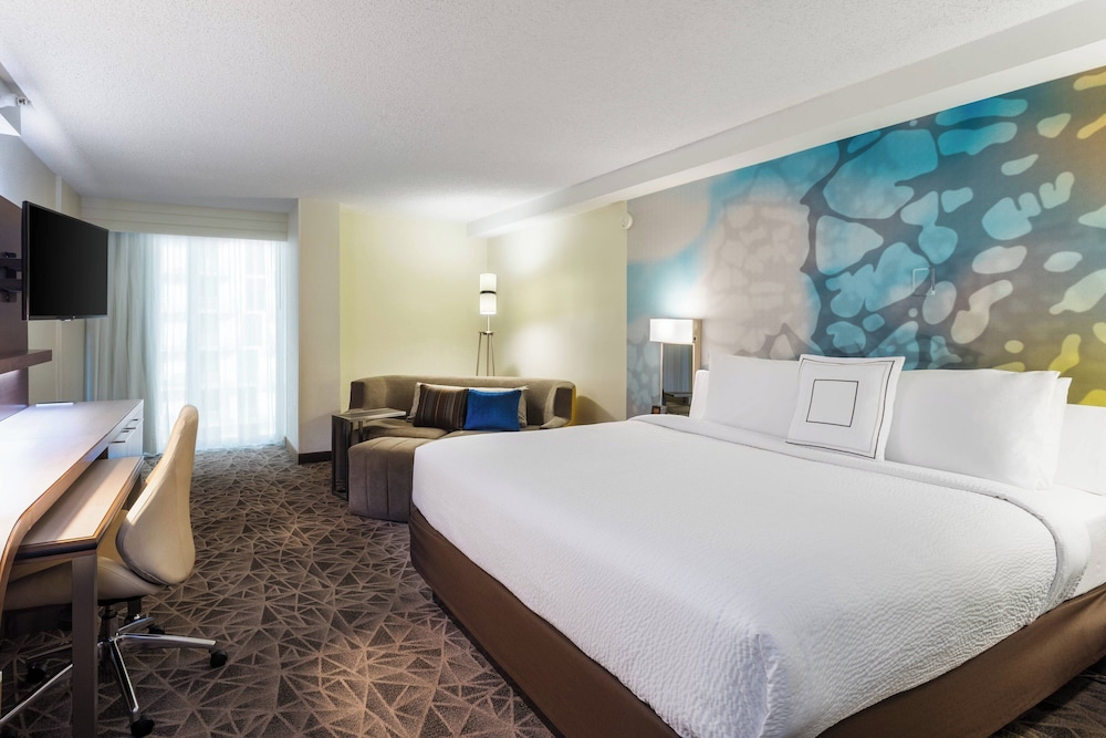 Room, 1 King Bed