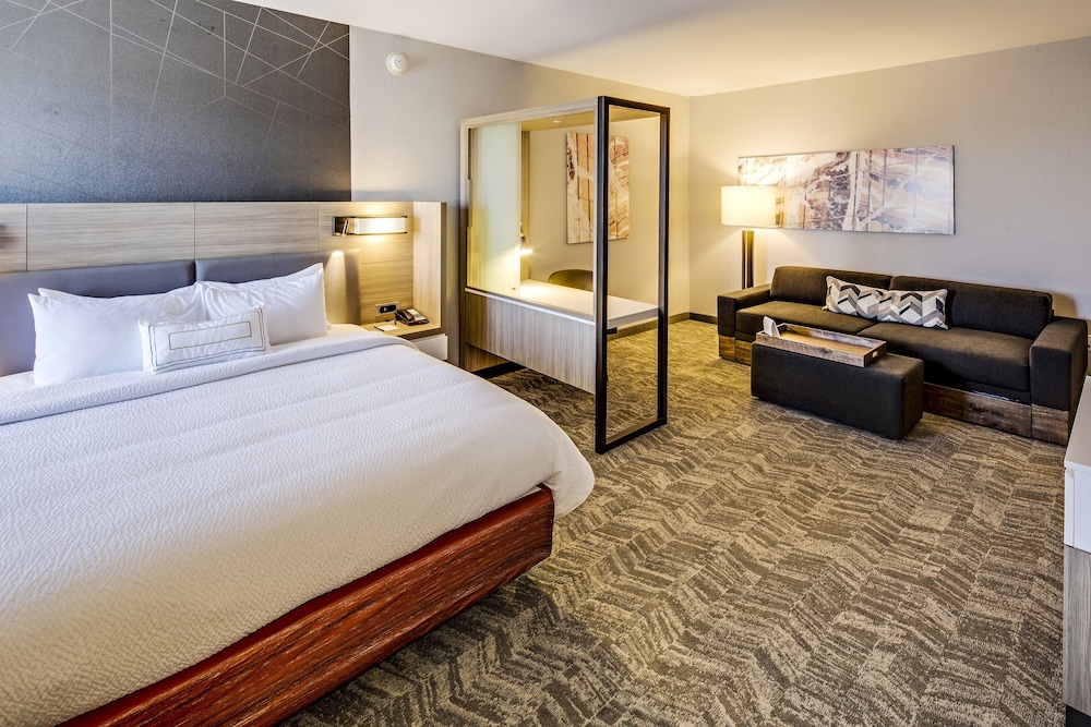 Suite, 1 King Bed with Sofa bed (Hearing Accessible) photo 3