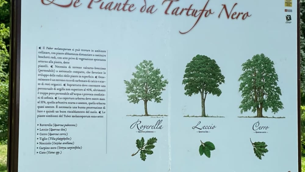 Appartamento Roero Cottage 3, Billede 5
