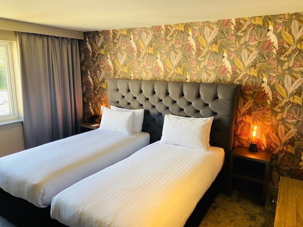 Deluxe king room photo 3