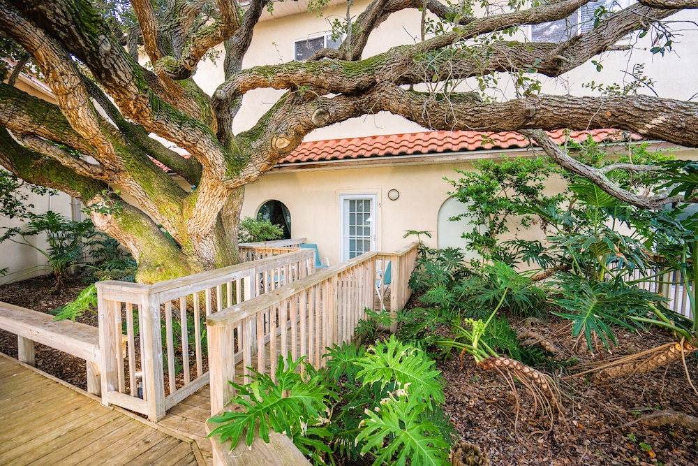Standard Studio, Patio, Garden View