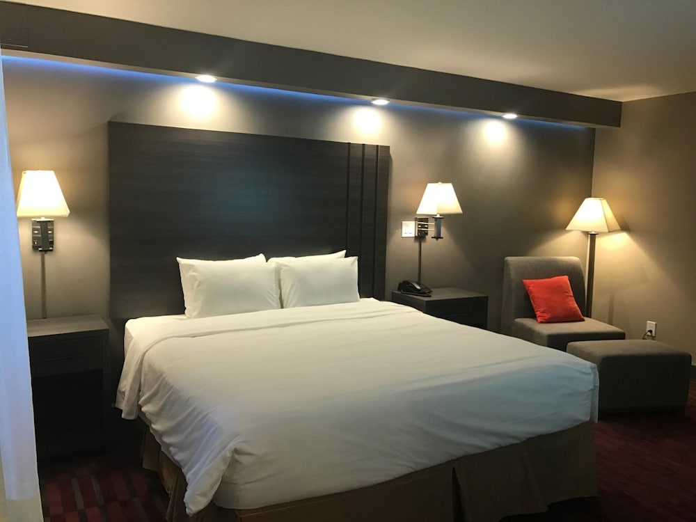 Deluxe Room, 1 King Bed, Non Smoking