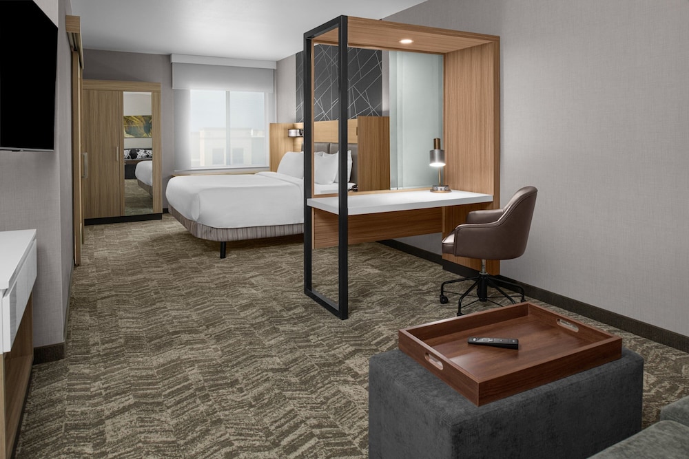 Suite, 1 King Bed - Photo 3
