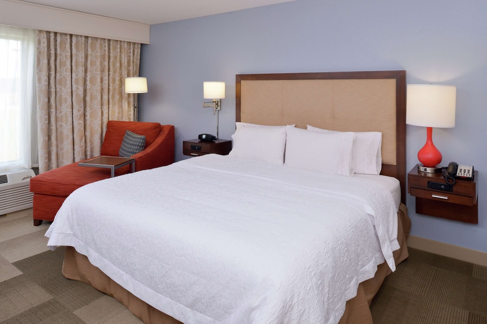 Room, 1 King Bed, Accessible photo 1