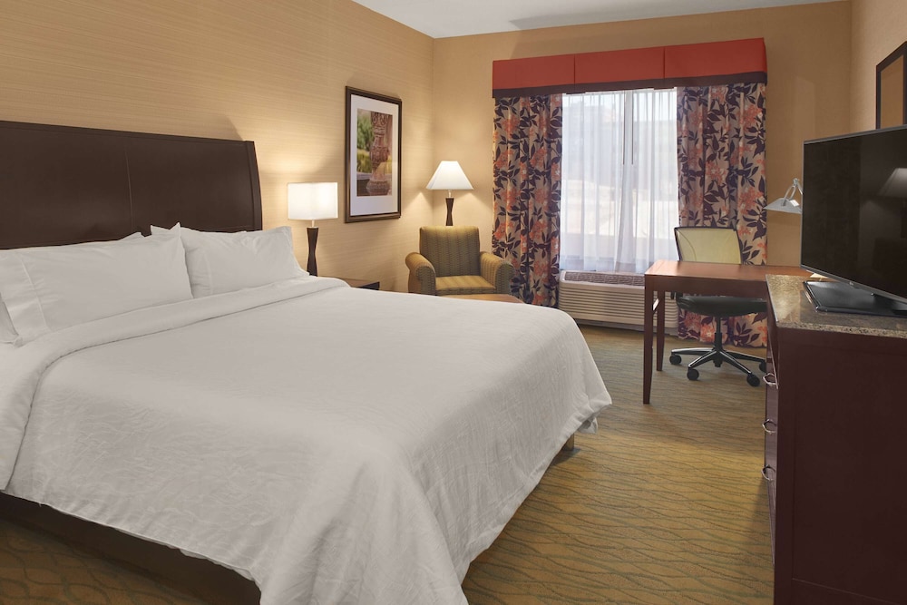 Room, 1 King Bed, Refrigerator & Microwave (With Shower, Drinks-Snacks) photo 2