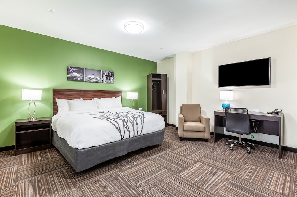 Luxury Studio, 1 King Bed, Non Smoking, Kitchen photo 1