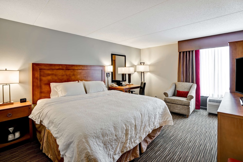 Room, 1 King Bed, Accessible, Non Smoking (Refrigerator & Microwave) - Photo 4