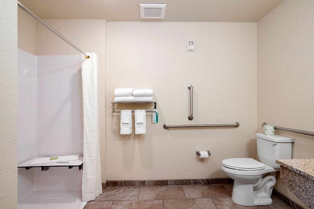Suite, 1 King Bed with Sofa bed, Accessible, Non Smoking (Ext. Stay, Audible/Visual Alert) - Photo 9