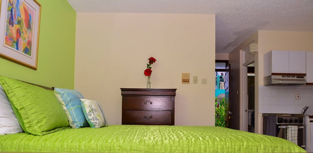 Comfort Studio, 1 Queen Bed, Non Smoking photo 2