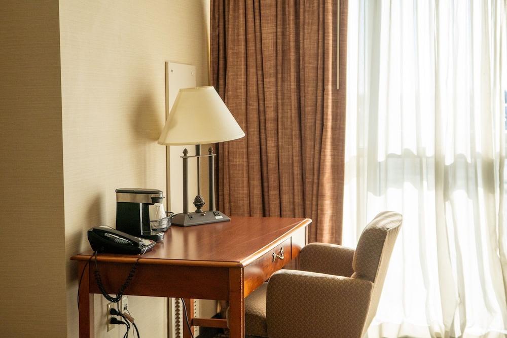 Executive Room, 1 King Bed - Photo 6