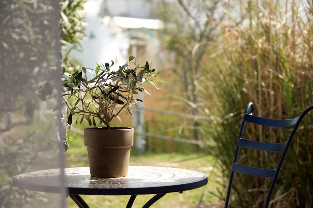 Superior Duplex, Garden View photo 3