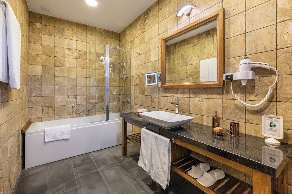Deluxe Suite - Photo 8