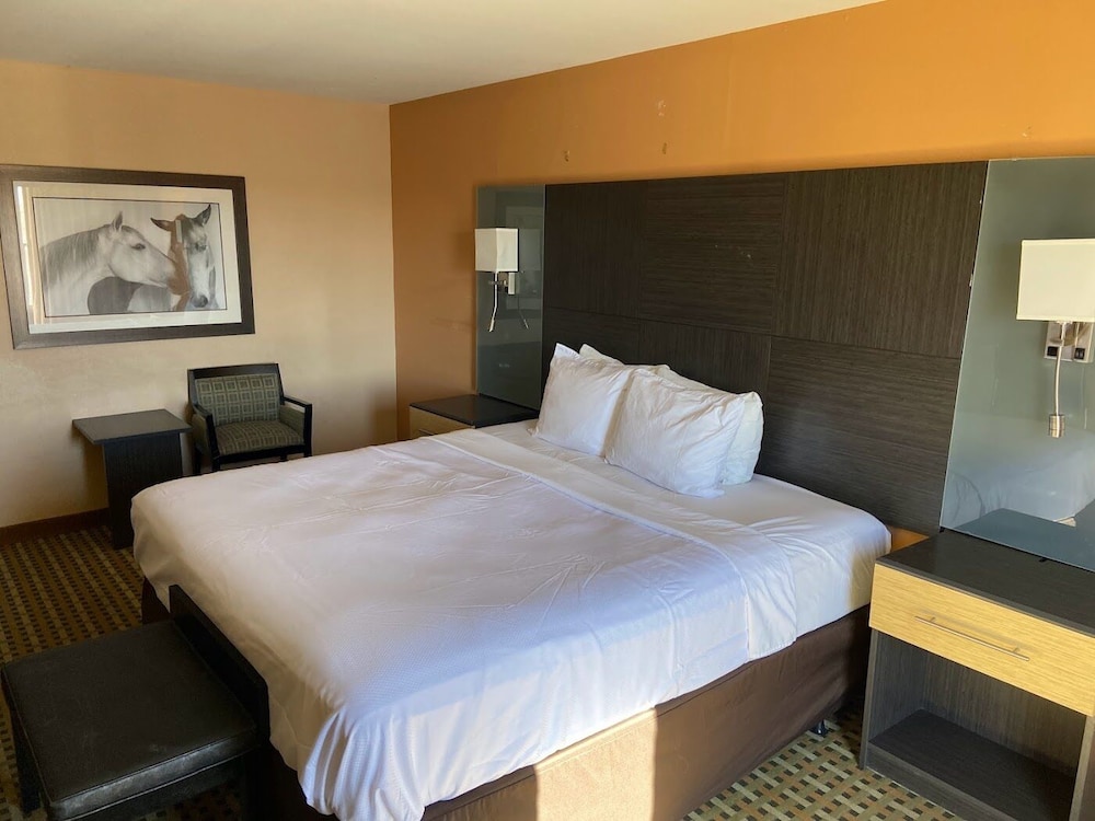 Standard Room, 1 King Bed, Non Smoking - Photo 7