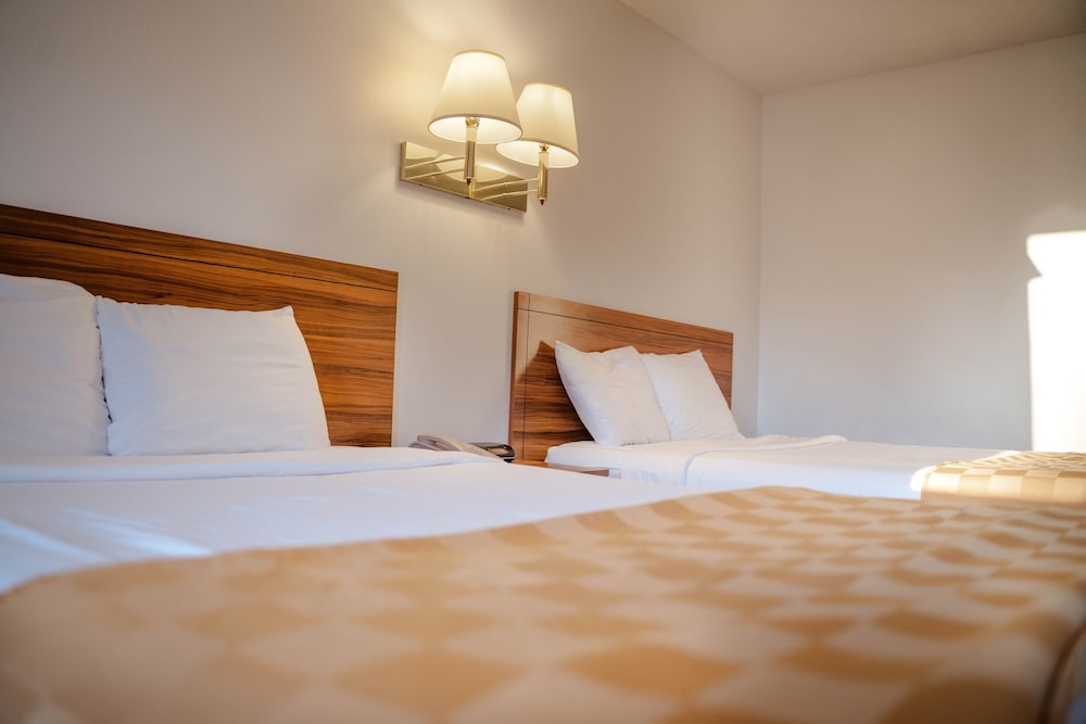 Basic Double Room Single Use, 2 Double Beds
